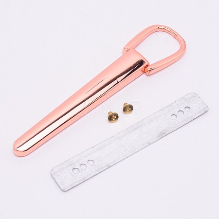 Zinc Alloy Bag Side Clip PALLOY-WH0082-15RG-1