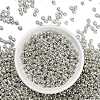 6/0 Glass Seed Beads X-E0690044-2