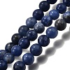 Natural Sodalite Round Beads Strands G-E329-10mm-39-2