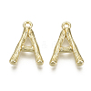 Alloy Pendants PALLOY-S137-001A-NR-2