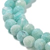 Natural Amazonite Beads Strands LS-G-J400-E11-04-4