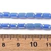 Electroplate Glass Beads Strands EGLA-D031-01-06-4