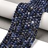 Natural Sodalite Beads Strands G-B107-A03-06-1