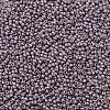 TOHO Round Seed Beads X-SEED-TR11-0554F-2