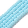 Glass Beads Strands EGLA-A034-P10mm-MD06-1