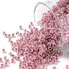 TOHO Round Seed Beads X-SEED-TR11-0907-1