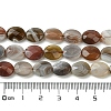 Natural Botswana Agate Beads Strands G-H004-B02-02-5