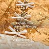 Preciosa® MAXIMA Crystal Round Stones Y-PRC-RBSS39-10220-3