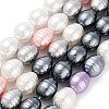 Electroplated Shell Pearl Beads Strands BSHE-H110-01-1