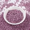 MIYUKI Round Rocailles Beads SEED-X0055-RR0645-2