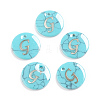 Synthetic Turquoise Charms G-L561-001G-1