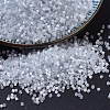 MIYUKI Delica Beads SEED-X0054-DB0677-1