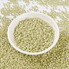 MIYUKI Round Rocailles Beads SEED-JP0009-RR0554-2