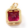 Real 18K Gold Plated Brass Inlaid Cubic Zirconia Charms ZIRC-L100-073G-04-3