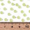 6/0 Transparent Inside Colours Glass Seed Beads SEED-N008-08J-4