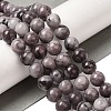 Natural Gemstone Beads Strands G-H067-A01-10MM-2