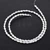 Natural Freshwater Shell Beads Strands X-SHEL-N027-08A-3