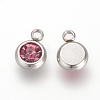 201 Stainless Steel Rhinestone Charms STAS-S068-10-2