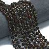 Natural Brecciated Jasper Beads Strands G-K389-B38-01-2