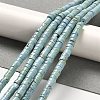 Natural Turquoise Beads Strands X-G-M422-C01-01-3