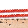 Natural Freshwater Shell Beads Strands SSHEL-C013-08A-4