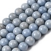 Natural Angelite Beads Strands G-G840-03-10mm-2