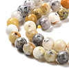 Natural African Opal Beads Strands G-B048-B03-02-4