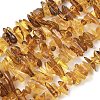 Natural Amber Beads Strands G-L095-D01-07-2
