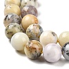 Natural African Opal Beads Strands G-B048-B03-03-3