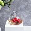 Clear Glass Dessert/Cake Cloche Dome Display Cases ODIS-WH0029-30-4