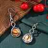 Hexagon Natural Picture Jasper Dangle Earrings EJEW-K298-01P-11-2