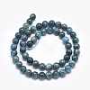 Natural Apatite Beads G-E481-05-10mm-2