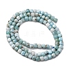 Natural Larimar Beads Strands G-F803-C01-03-3