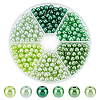 300Pcs 6 Colors Baking Paint Pearlized Glass Pearl Round Beads HY-WR0001-02D-1