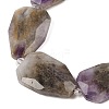 Natural Amethyst Beads Strands G-P548-B08-01-3