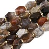 Natural Botswana Agate Beads Strands G-P611-B01-01-3