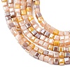 Electroplate Glass Beads Strands EGLA-F121-FR-B04-6