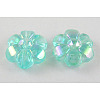 Transparent Acrylic Beads LS-PL538-25-1