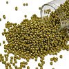 TOHO 11/0 Round Beads SEED-TR11-2630F-1