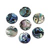 Natural Paua Shell Disc Charms SSHEL-N040-19B-1