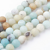 Natural Flower Amazonite Bead Strands G-G735-61F-10mm-1