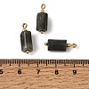 Natural Larvikite Pendants GG-CBACE45-02G-04-3