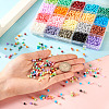 2780Pcs 20 Colors Baking Paint Glass Seed Beads SEED-TA0001-49-7