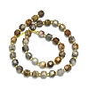 Natural Gobi Agate Beads Strand G-I376-D02-01-2