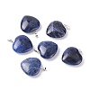 Natural Sodalite Pendants G-G956-B39-FF-1