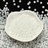 Imitation Jade Glass Seed Beads SEED-C001-02C-03-2