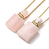 Openable Natural & Synthetic Mixed Stone Perfume Bottle Pendant Necklaces for Women NJEW-F296-01G-2