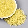 FGB Frosted Transparent Glass Seed Beads SEED-N013-02A-02-1