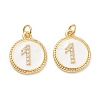 Brass Micro Pave Clear Cubic Zirconia Charms ZIRC-J040-44G-01-2