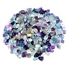 Natural Fluorite Tumbled Chips PW-WGA7DCE-04-1